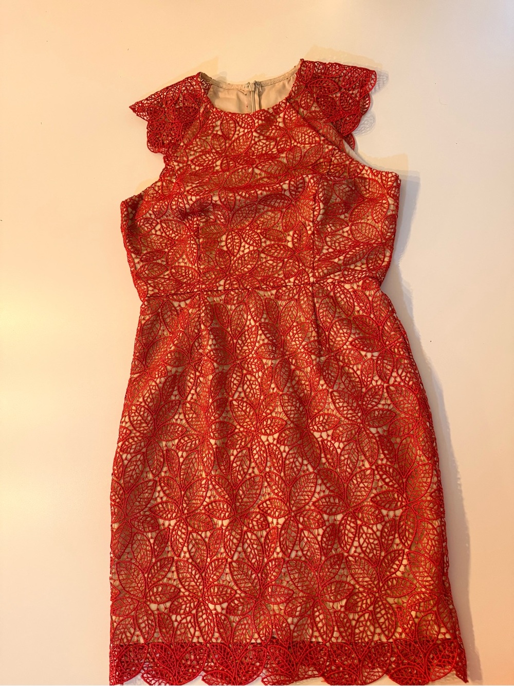 Red Lace Fit & Flare Dress - Brand: